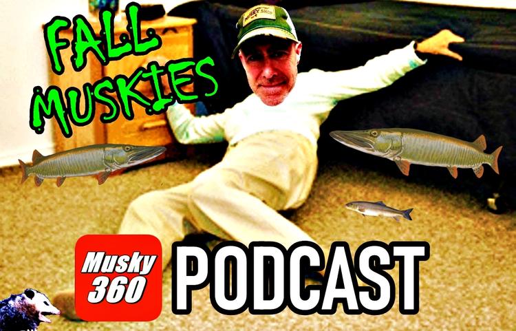 Musky 360 Podcast : Fall Muskies 
