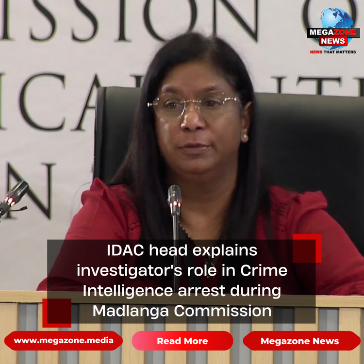 IDAC head explains investigator's role in Crime Intelligence arrest during Madlanga Commission