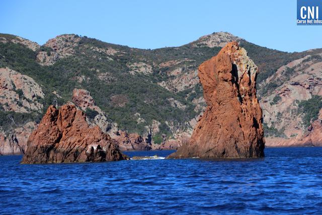 La Corse accueille le Congrès des Réserves naturelles de France autour de la restauration des écosystèmes