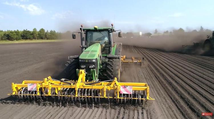 Semis de haricots