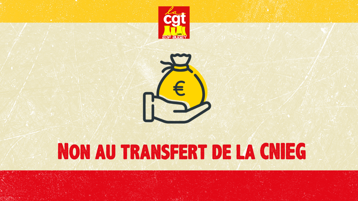 Non au transfert de la CNIEG !!