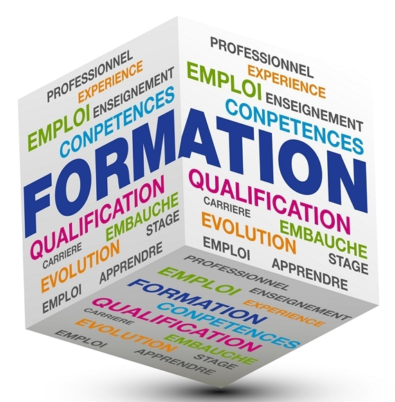 CSE: Commission GEPP, Atelier "Bilan de Compétences"