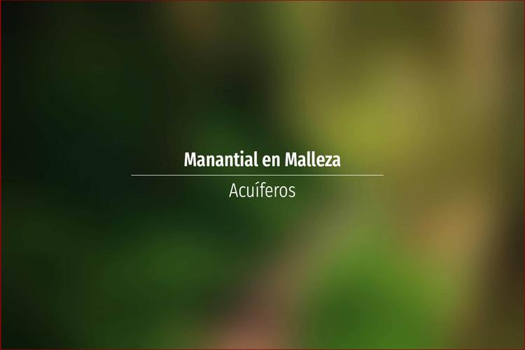 Manantial en Malleza
