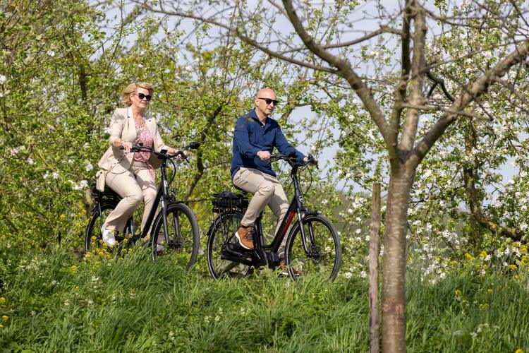 Tip: 5 fietsroutes langs bloesem, fruit, dijken en dorpjes