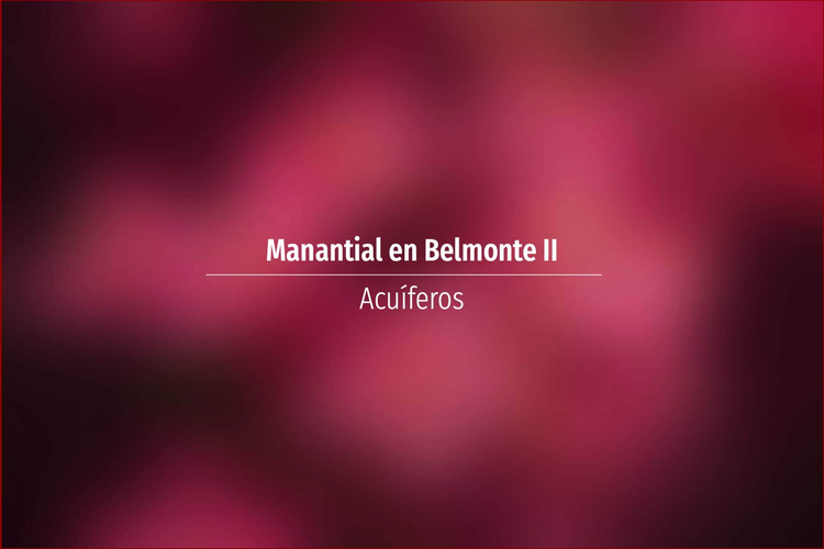 Manantial en Belmonte II