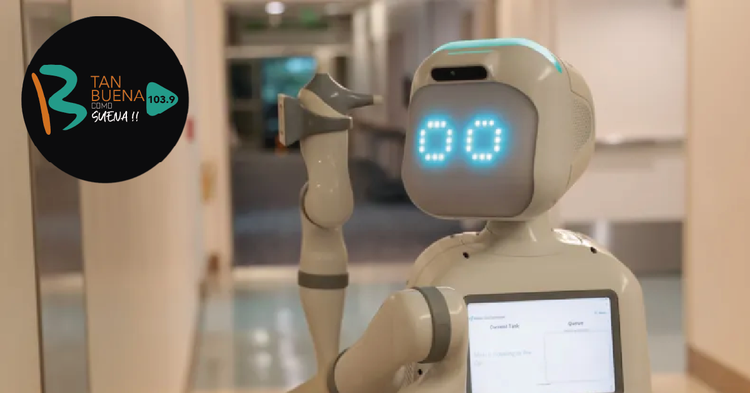 Robots disponibles para alquilar: ¿Pero qué pueden hacer?