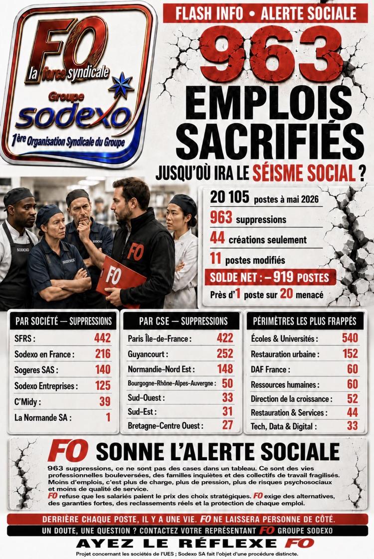 Flash PSE SODEXO - Seisme Social-