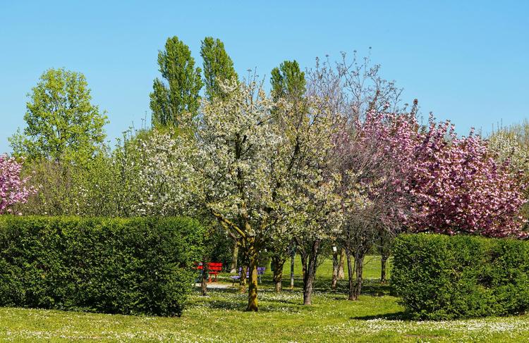 Agent technique polyvalent saisonnier (H/F) - Commune de Prévessin-Moëns