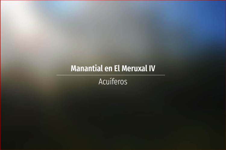 Manantial en El Meruxal IV