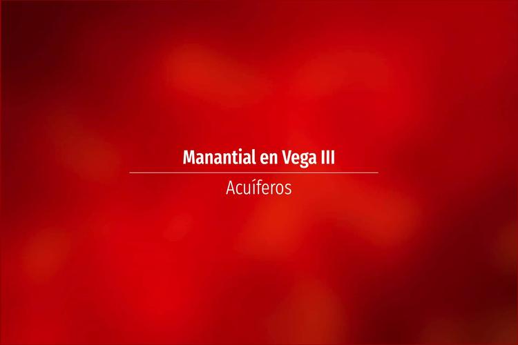 Manantial en Vega III