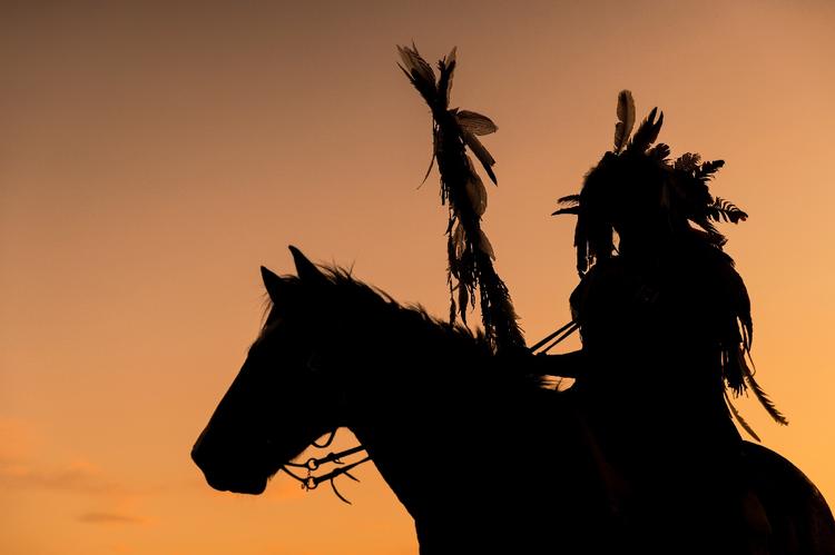 HIDDEN HISTORY OF HORSES IN THE AMERICAN WEST