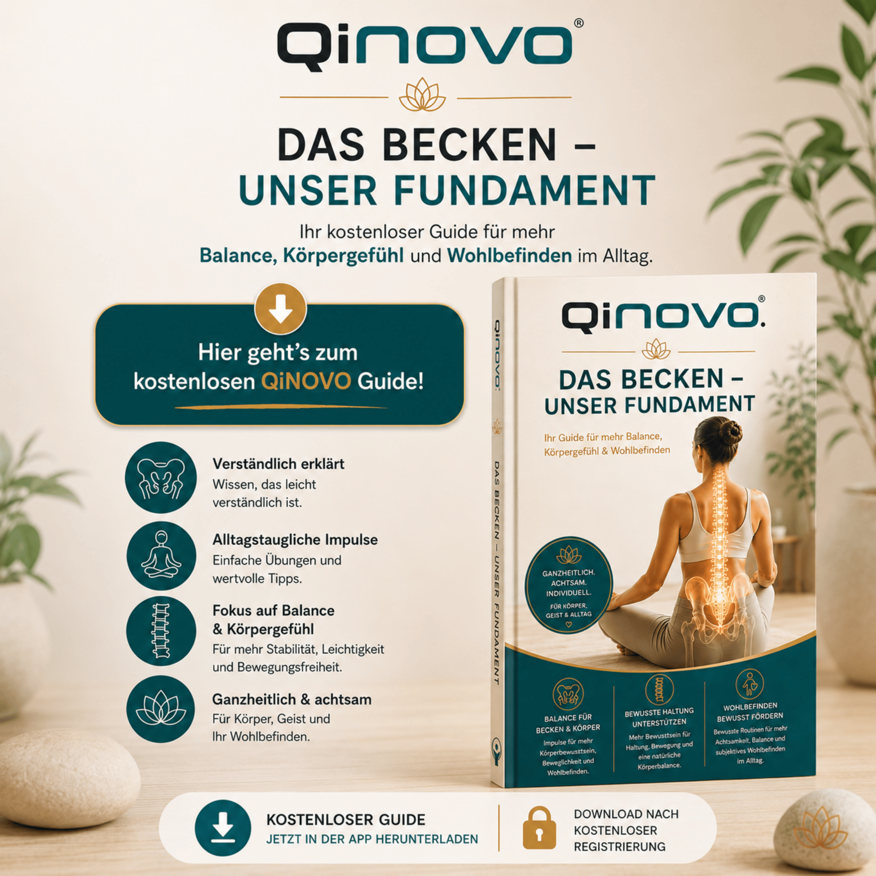 QiNOVO Guide kostenlos herunterladen 