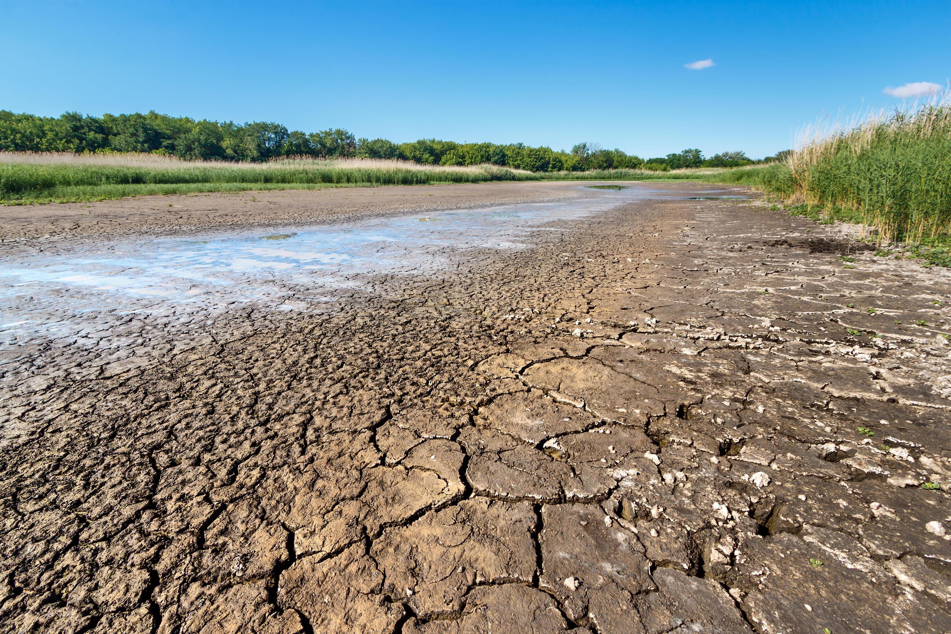 Erhöhte Waldbrandgefahr im Emsland: Landkreis erlässt Verordnung und ruft zum Wassersparen auf