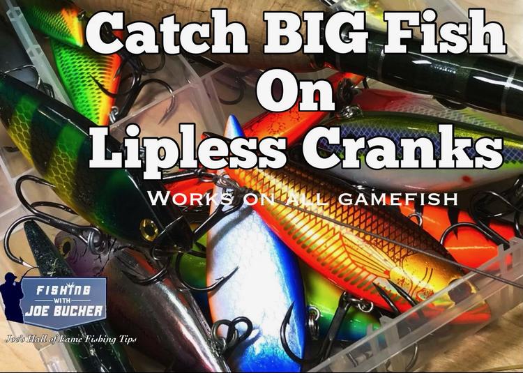 Catch Big Fish on Lipless Cranks 