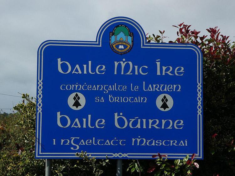 Gnéithe den Gaeilge — Aspects of the Irish language
