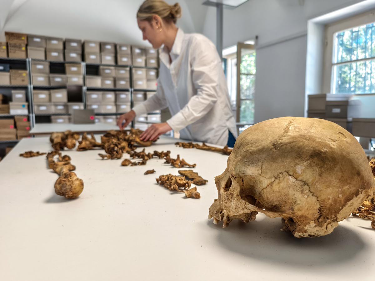 Study challenges established views of life after fall of Western Roman Empire