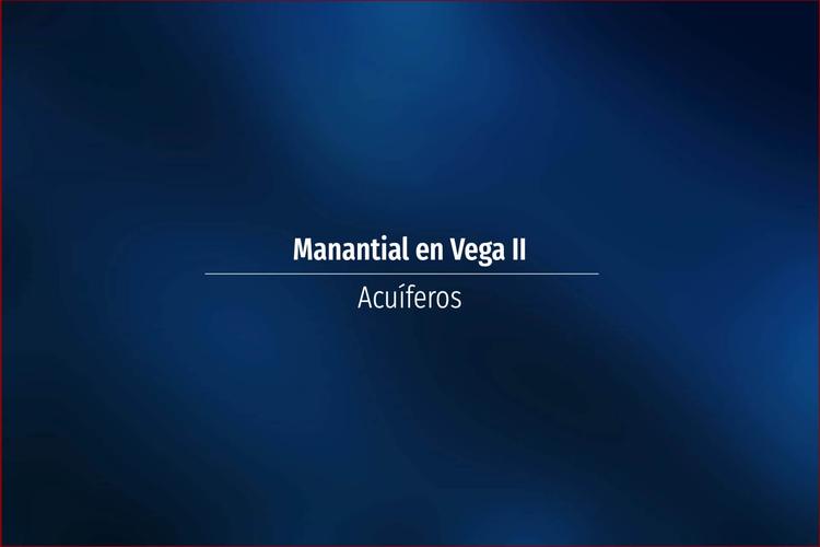 Manantial en Vega II