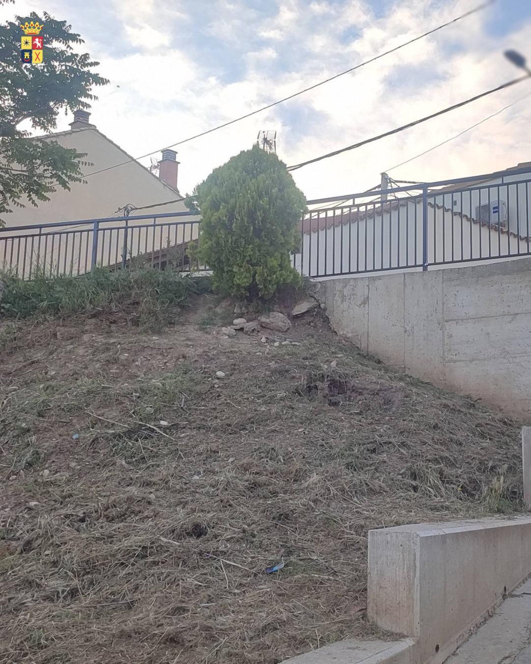 📋🚧 PLAN DE DESBROCE: MEJORANDO RINCONES Y SU SEGURIDAD 🌿