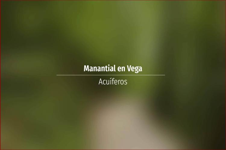 Manantial en Vega