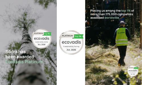 Södra ranked among the top performers in global sustainability assessment