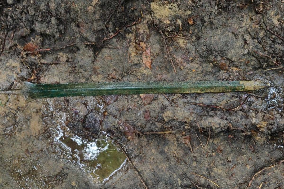 Ornate Bronze Age sword discovery was likely a ritual offering