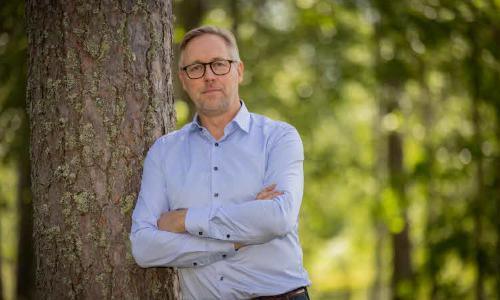 Reduced logging delivers limited climate benefits at high cost