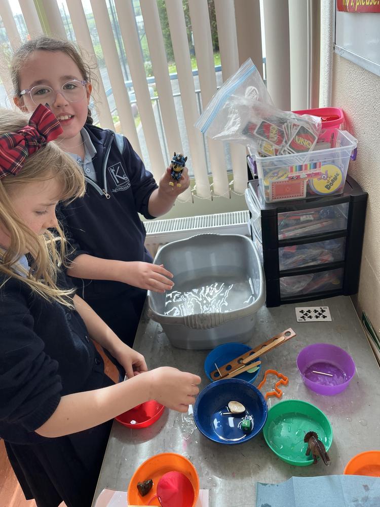  Floating & Sinking Experiment! 