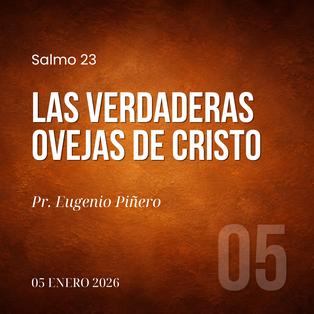 #5 | Las verdaderas ovejas de Cristo