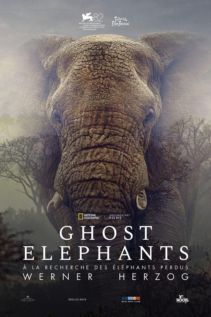 GHOST ELEPHANTS