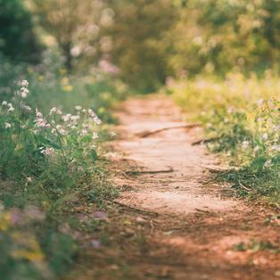 Oser le changement dont vous rêver (20mn)