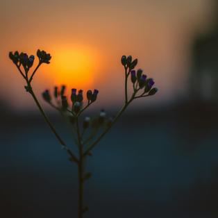 Respiração do Amanhecer