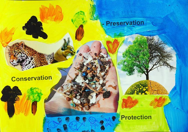 25. Study of the natural regeneration of native plants in soils altered by Acacia longifolia