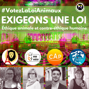 Loi contre la maltraitance animale