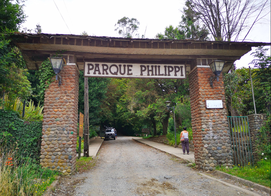 Cerro Philippi – Guía App Chiloé Turismo en Llanquihue, Llanquihue, Sur de Chile