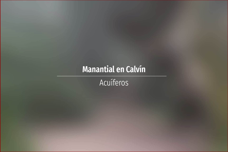 Manantial en Calvín