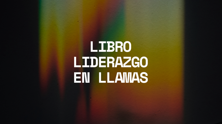 LIBRO LIDERAZGO EN LLAMAS