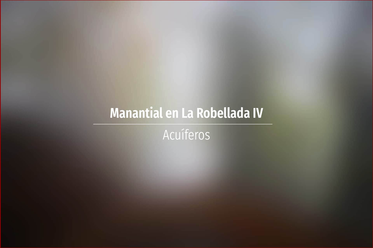 Manantial en La Robellada IV