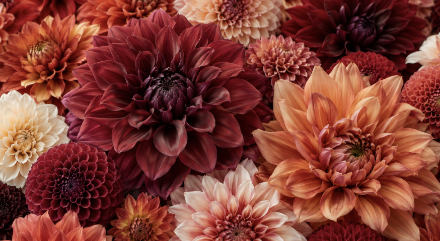 The astrological energies of October 2026