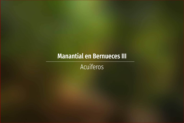 Manantial en Bernueces III