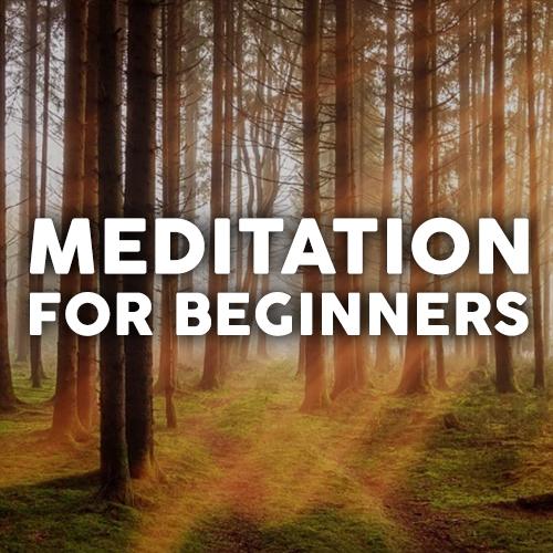 Meditation for Beginners: Awareness & Relaxation