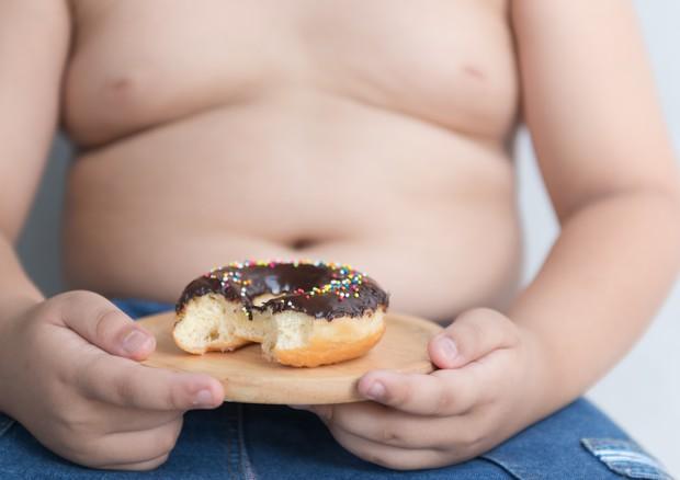 l'obesità da i suoi frutti