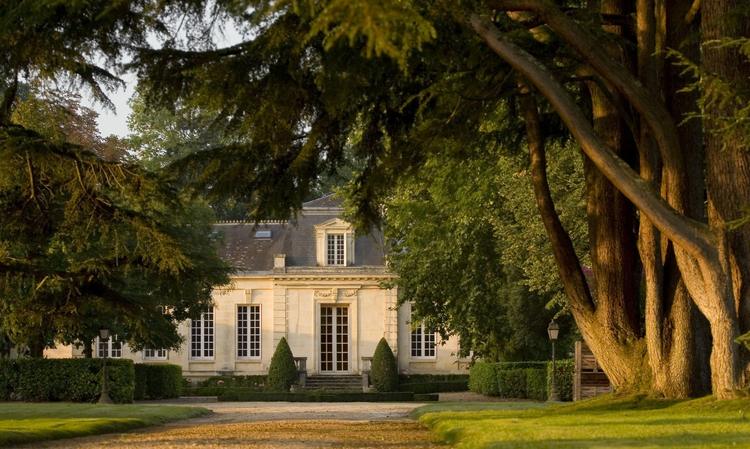 Château Ferrande Red 2025