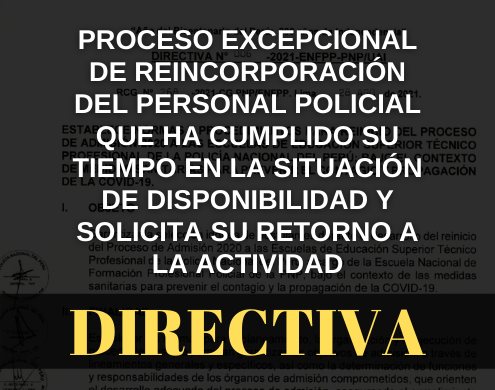 Directiva que establece proceso de reincorporación de la situación de disponibilidad a la situación de actividad