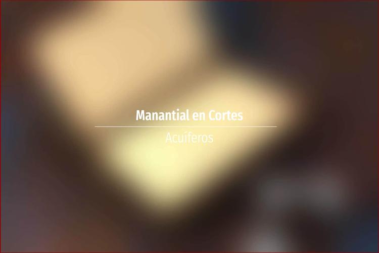 Manantial en Cortes