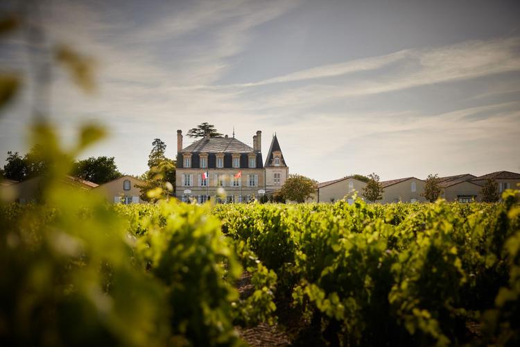 Château Grand-Puy-Lacoste 2024