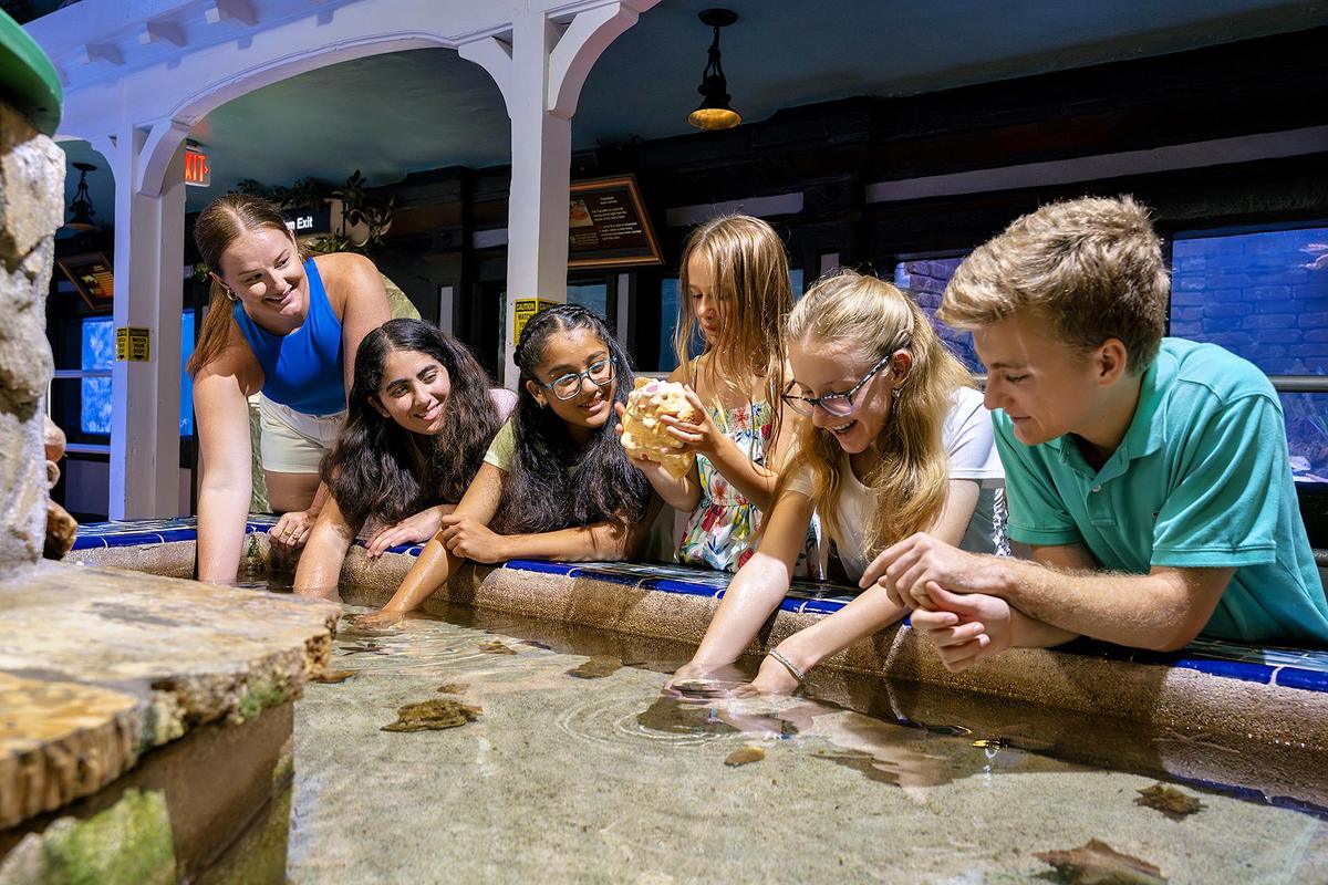 Neue Perspektiven auf die faszinierende Unterwasserwelt der Florida Keys