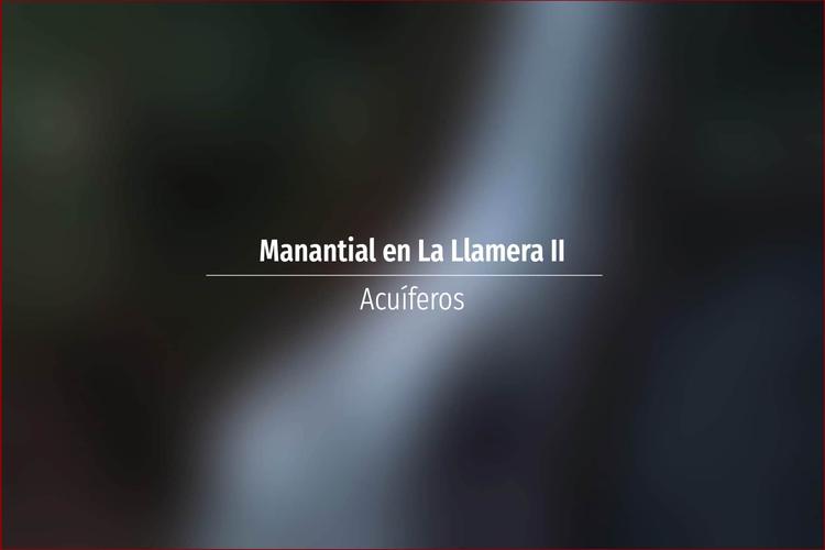 Manantial en La Llamera II