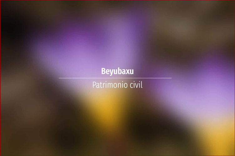 Beyubaxu