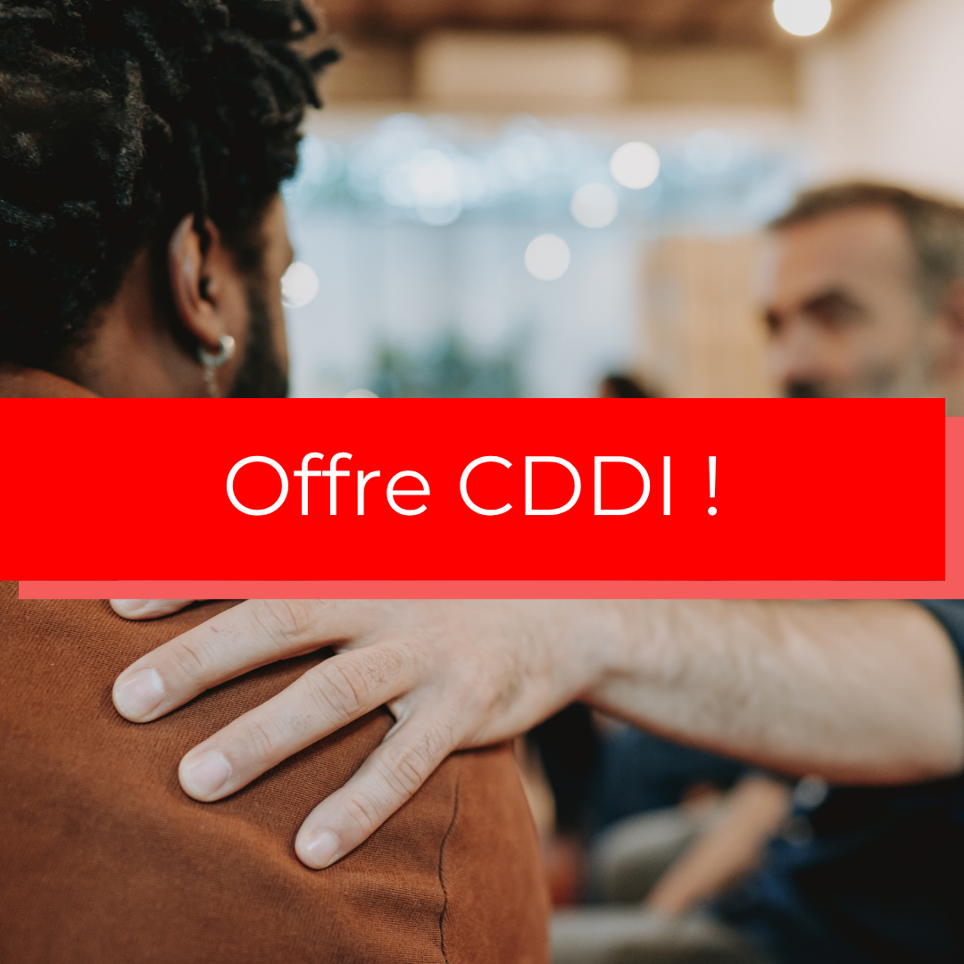 Contrat à Durée Déterminée d'Insertion  (H/F)