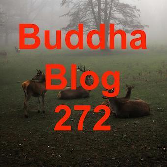 272-Erfolge feiern-Buddha Blog Podcast - Buddhismus im Alltag